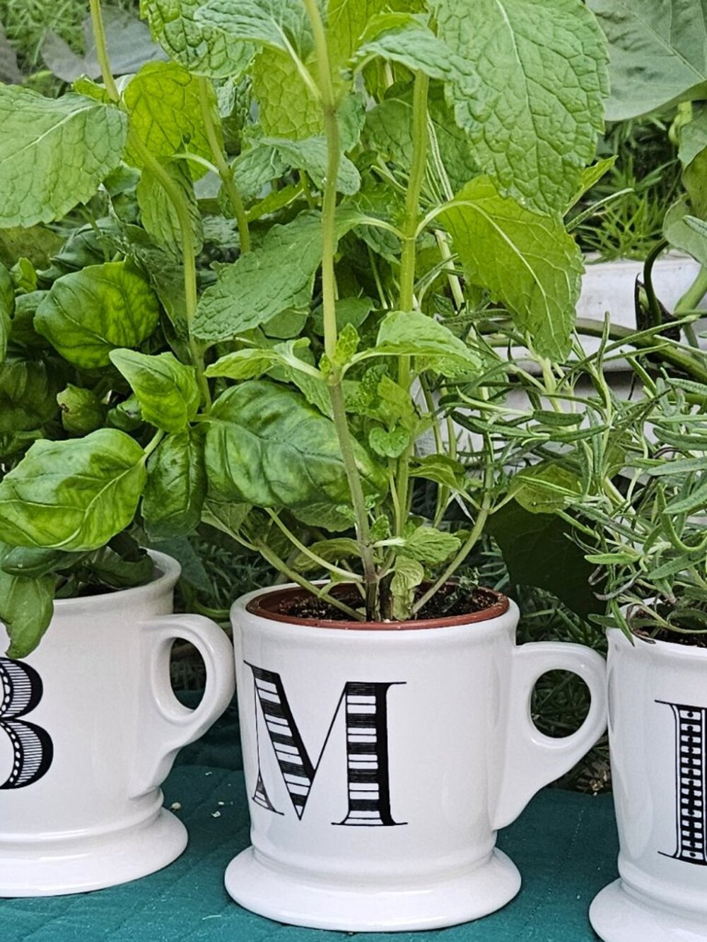 Anthropologie Monogram Mug (a.k.a. Mr. Mug) "M" (2 of 2)